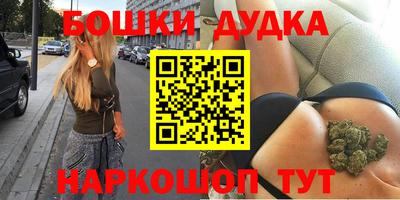 твердый Новодвинск