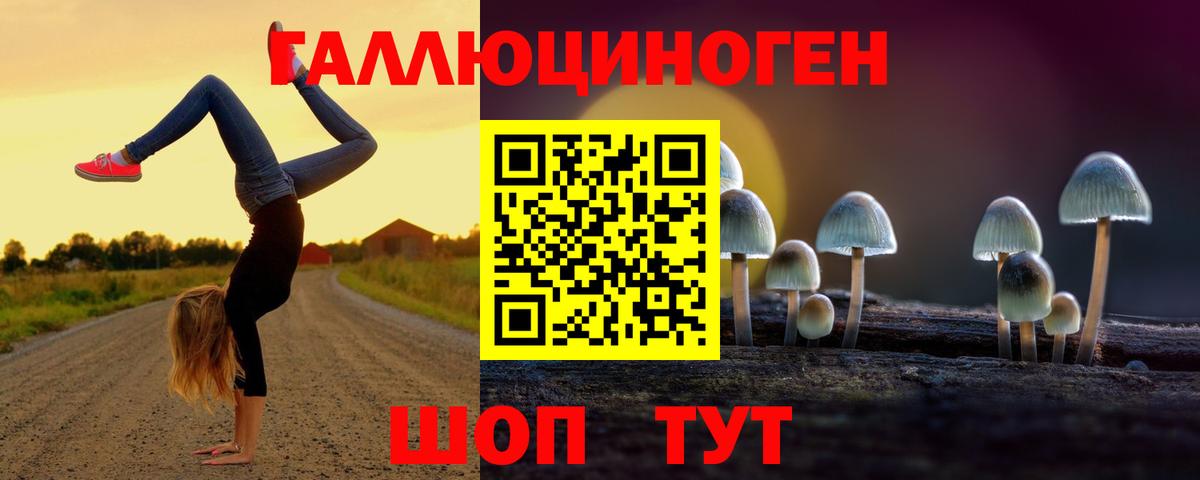 Псилоцибиновые грибы Psilocybe  Вход с VPN  Дюртюли 